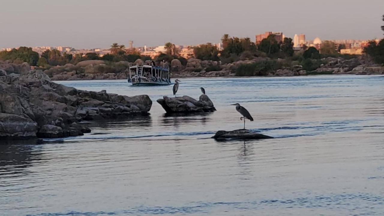 Adad Noubian House Villa Aswan Eksteriør billede