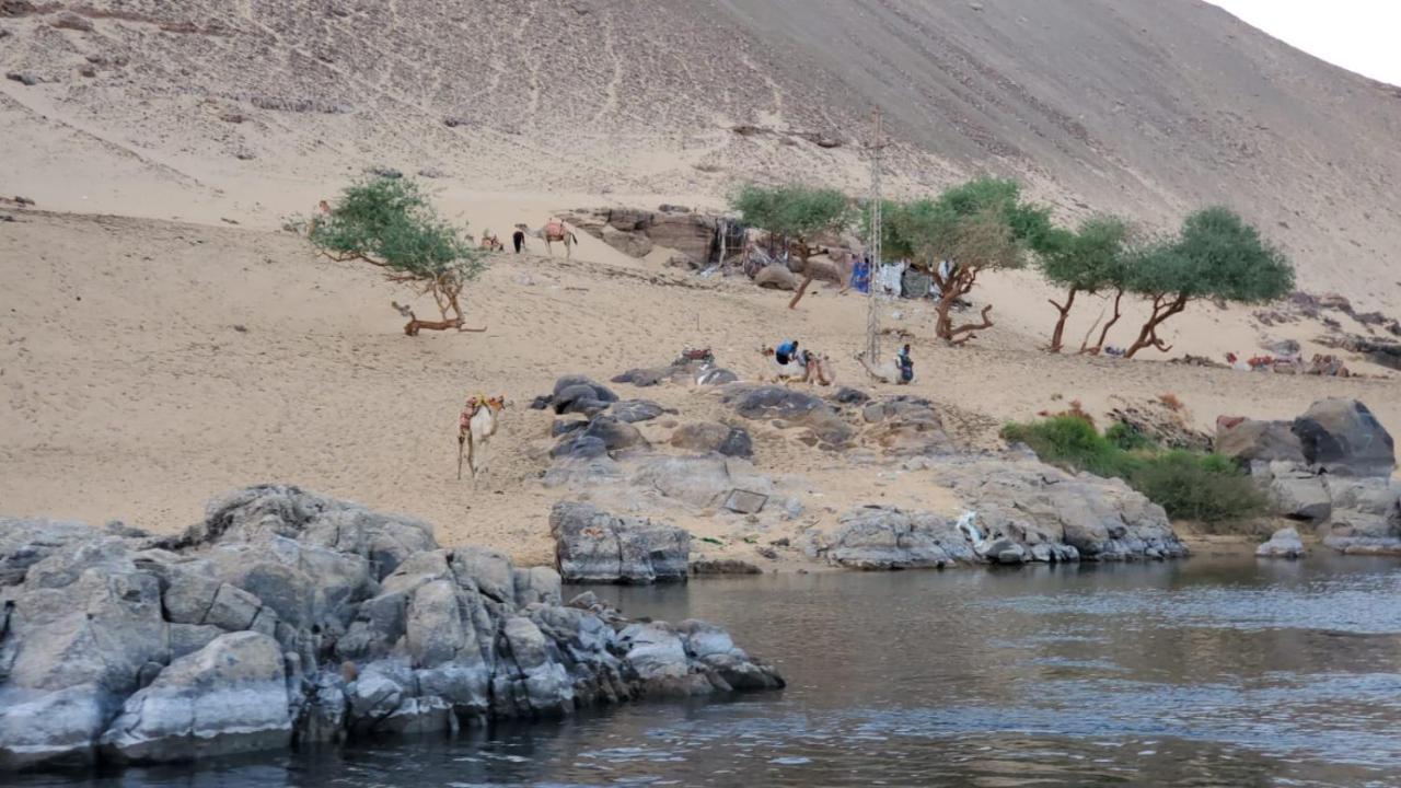 Adad Noubian House Villa Aswan Eksteriør billede